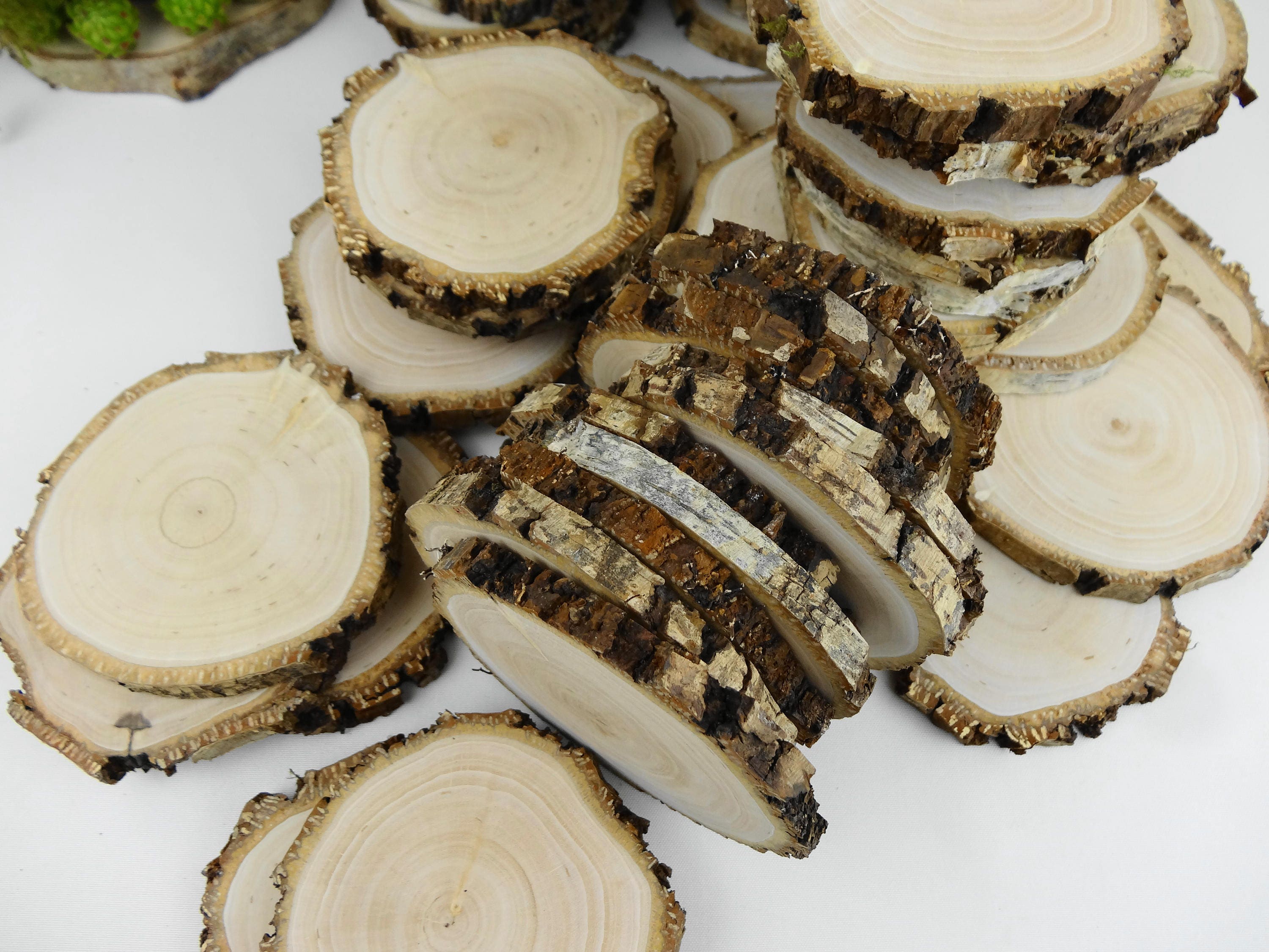 Natural Birch Wood Slices Circles With Tree Bark for DIY Etsy