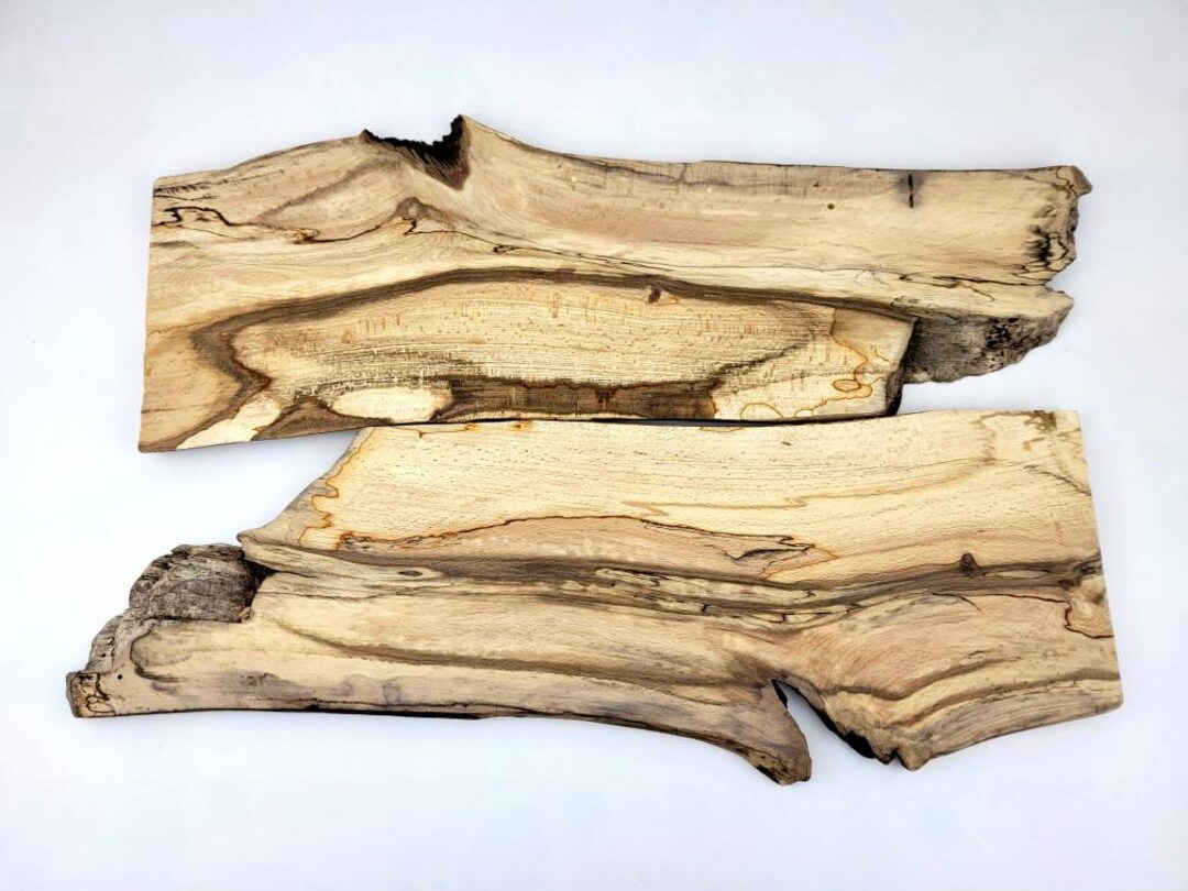 Unfinished Beech Wood Planks Small Spalted Beech Boards for Etsy