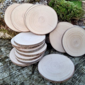 Natural Willow Tree Wood Slices for Crafts, Unfinished Tree Cookies, DIY Ornaments, Woodworking, Pack of 12 image 10