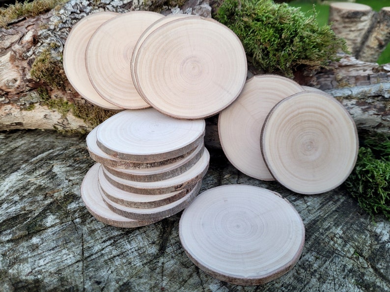 Natural Willow Tree Wood Slices for Crafts, Unfinished Tree Cookies, DIY Ornaments, Woodworking, Pack of 12 image 10