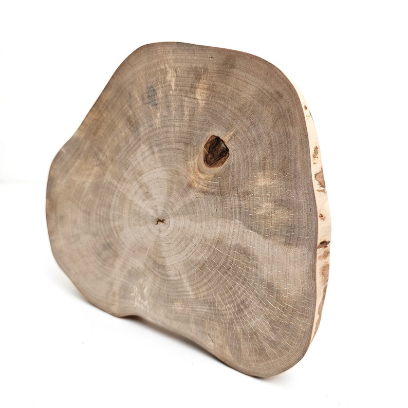 Rustic Wood Round Slab Riser, Raw Birch Slice Centerpiece 9, Charger Plate image 10