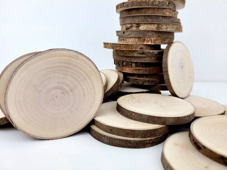 Natural Willow Tree Wood Slices for Crafts, Unfinished Tree Cookies, DIY Ornaments, Woodworking, Pack of 12 image 2