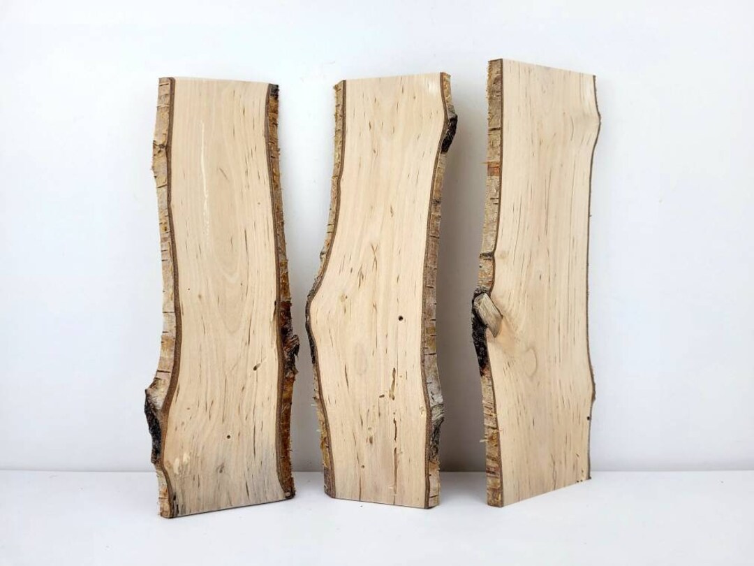 3pcs Small Birch Wood Planks Live Edge Rustic Birch Wood Etsy