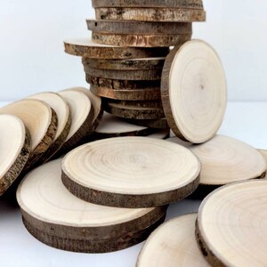 Natural Willow Tree Wood Slices for Crafts, Unfinished Tree Cookies, DIY Ornaments, Woodworking, Pack of 12 image 3