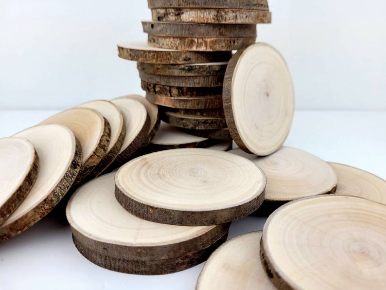 Natural Willow Tree Wood Slices for Crafts, Unfinished Tree Cookies, DIY Ornaments, Woodworking, Pack of 12 image 3