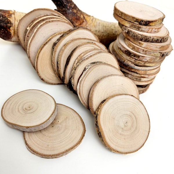 Raw Birch Tree Slices Natural Wood Circles, Rustic Wood Rounds for Crafts Pyrography Painting, Set of 16