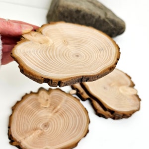 Cypress Tree Trunk Slices, End Grain Wood Slabs, Natural Live Edge Wood Slices With Bark, 4pcs image 6