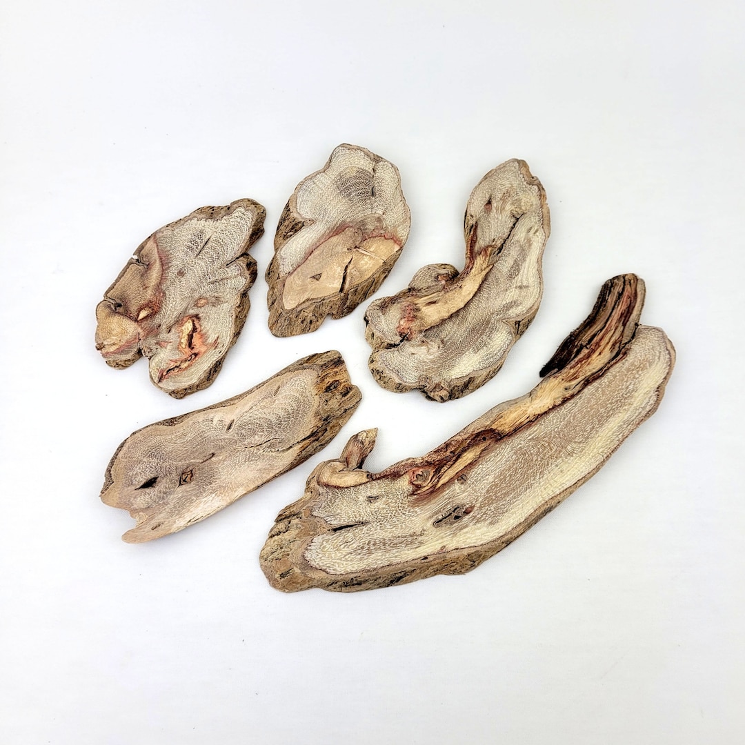 Live Edge Reclaimed Wood - Root Wood Slices for Crafts Epoxy Resin ...