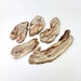 see more listings in the Medium Size Tree Slices section