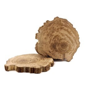 30pcs fette di legno naturale 6-7cm Dischi di tronchi Cerchi di legno con  spago di iuta naturale