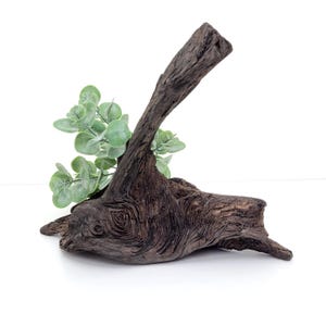 Irish Bog Oak Root Wood for Crafts & Carving - Natural Home Decor