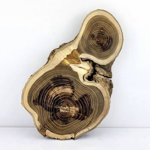 Wooden Slices Rustic Wood 1-100pcs 2-20cm 0.8-8 Natural Wedding
