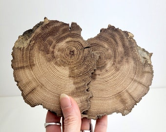 Irregular Odd Shape Oak Wood Slices - Oak Wood Slabs - Woodworking Resin Project Wood - Coaster Wood 2pcs