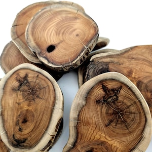 Natuurlijke plakken taxushout: set van 3 unieke donkere onderzetters voor het maken van sjamanistische decoraties