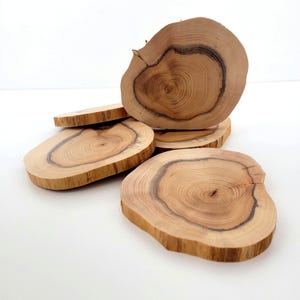 Natural Yew Wood Slices | Handmade Coasters for Crafts | Reclaimed Live Edge 2 Pack