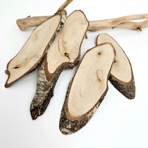 May include: Five natural wood slices with bark, ideal for crafting or home decor. The slices are various sizes and shapes, with a light brown colour and a natural wood grain.