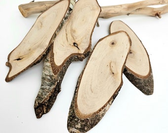 Oblong Birch Tree Slices, Odd Shape Rustic Ovals, Birch Trunk Slices, Artist Wood