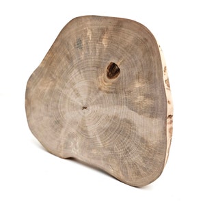 Rustic Wood Round Slab Riser, Raw Birch Slice Centerpiece 9, Charger Plate image 5
