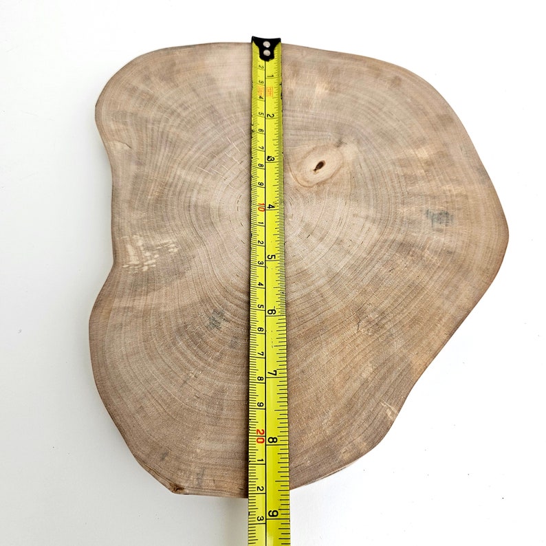 Rustic Wood Round Slab Riser, Raw Birch Slice Centerpiece 9, Charger Plate image 9