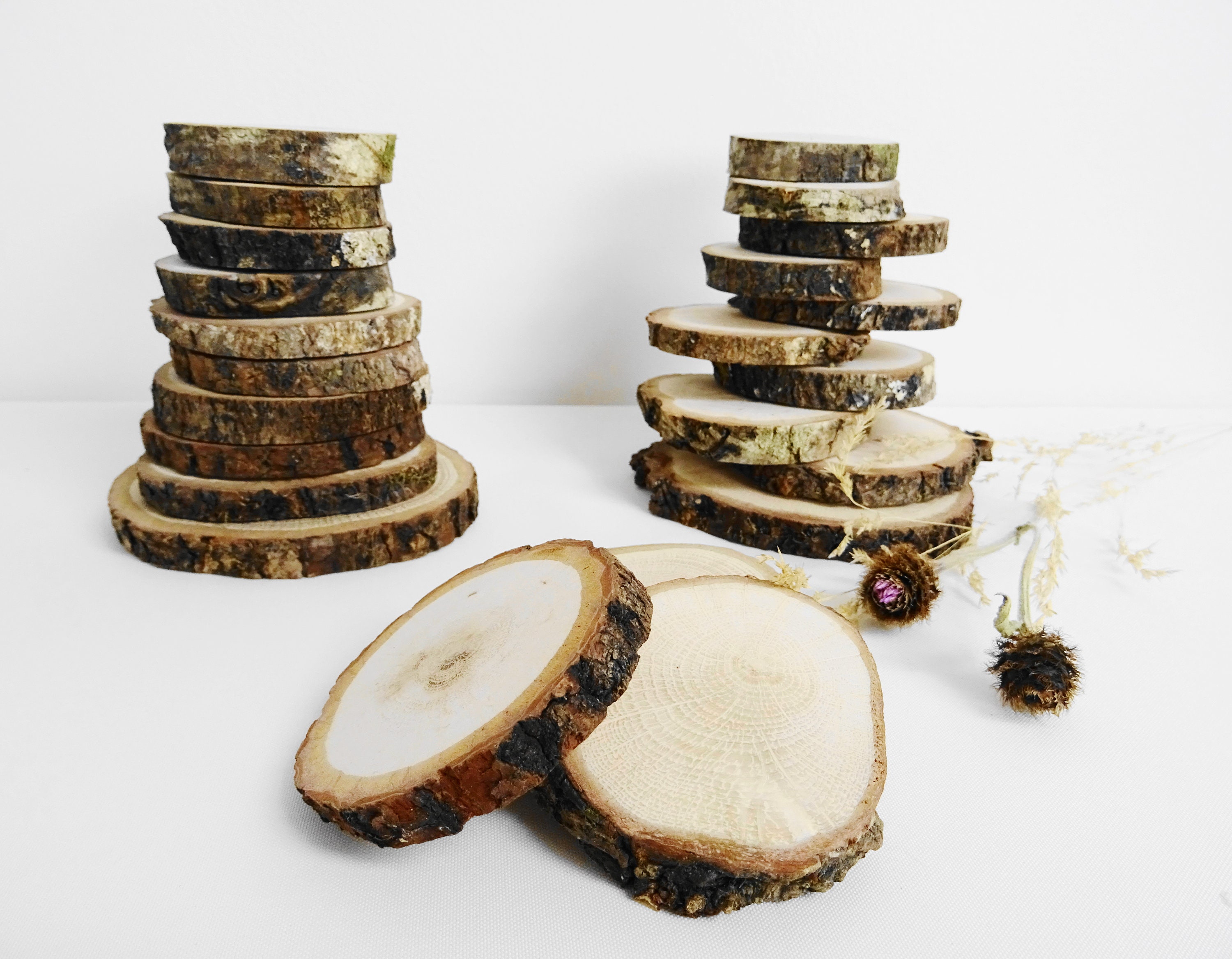 Various size Oak Bark Wood Rounds Crafts Wood 10pcs Etsy