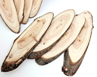 Oval Tree Slices, Unfinished Wood Blanks for Woodworking Crafts, 4pcs