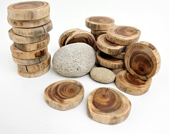 Yew Wood Slices - Small Tree Slices for DIY Crafts Woodworking Witchcraft- DIY Rune Making, 25pcs