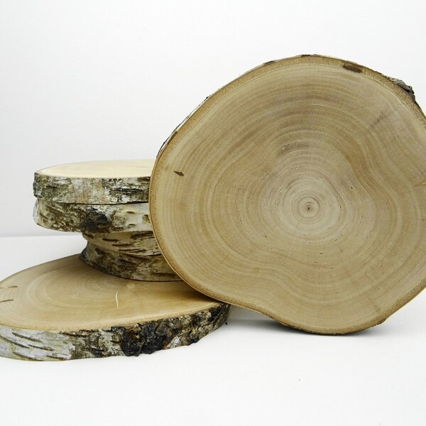 White Birch Wood Slices - Rustic Wood Slabs - Tree Trunk Slices - Chargers - Centerpieces - Wedding Decor - Crafting Wood