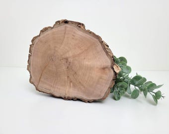 thuja 180 200 Thuja Smaragd 180-200 cm, RB » Outlet main image 1