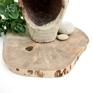 Rustic Wood Round Slab Riser, Raw Birch Slice Centerpiece 9, Charger Plate image 3