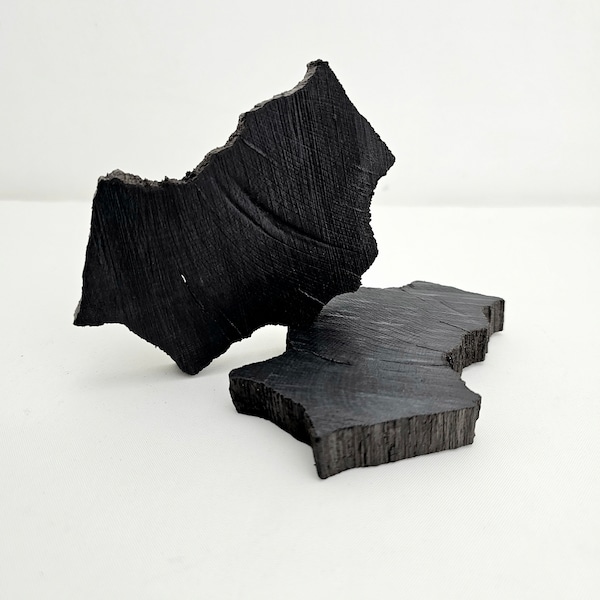 Bog Oak Wood Pieces - Blackwood Slices - Bog Oak Wood Slices - Morta - Abonos - 2pcs