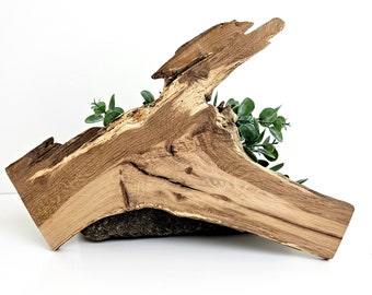 Figured Oak Wood Slab Natural Wood Slice Small Live Edge Plank Craft Wood Slice Epoxy Resin Casting Photography Prop