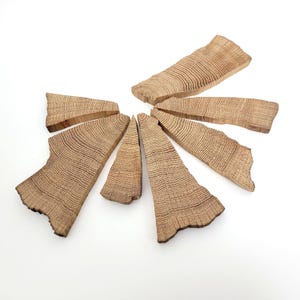 Rustic Wood Pieces of Natural Oak Wood for DIY Crafts Woodworking Epoxy resin art Jewelry making