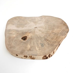 Rustic Wood Round Slab Riser, Raw Birch Slice Centerpiece 9, Charger Plate image 7