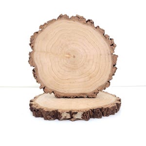 Natural Birch Wood Slice, Centerpiece Wood Round Slab 6-7inch