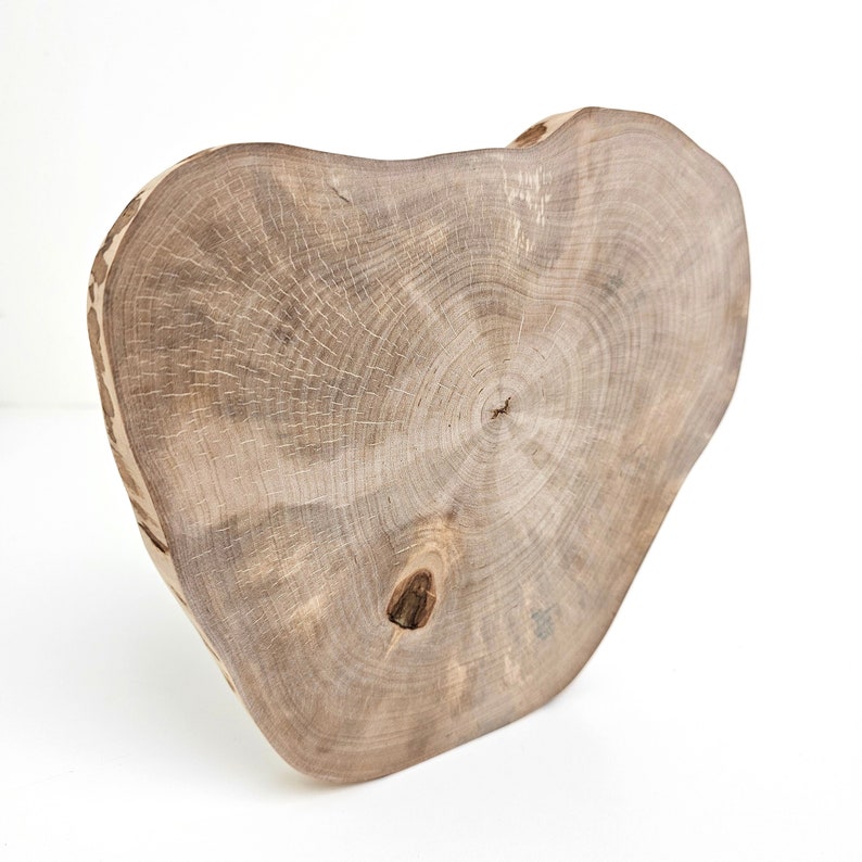 Rustic Wood Round Slab Riser, Raw Birch Slice Centerpiece 9, Charger Plate image 6