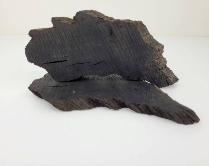 Irish Bog Oak Wood Slice Black Oak Wood Pieces Bog Oak Wood Supplies