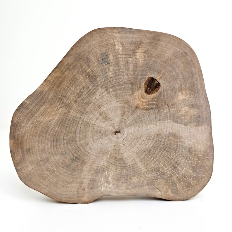 Rustic Wood Round Slab Riser, Raw Birch Slice Centerpiece 9, Charger Plate image 4