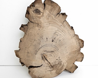 Bûche de bois flotté, plaque ronde en bois, grand sous-verre, résine époxy