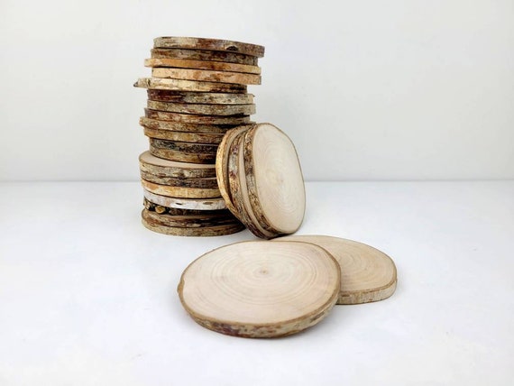 Birch Wood Slices Raw Birch Tree Circles Rustic Wood Rounds for