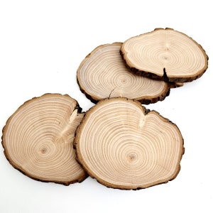 Cypress Tree Trunk Slices, End Grain Wood Slabs, Natural Live Edge Wood Slices With Bark, 4pcs image 3