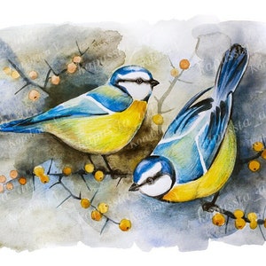 Blue Tit Couple Descarga digital Arte imprimible, Palabras de agradecimiento, Pintura de acuarela de la naturaleza de los pájaros, suministros de artesanía