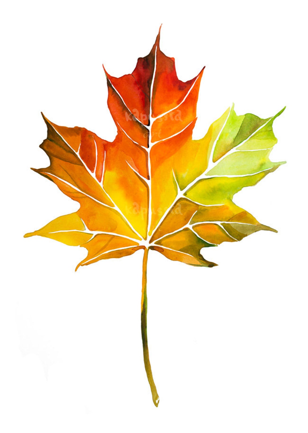 Осенний лист рисунок. Листья рисунок. Осенние листья акварель. Кленовый лист арт. Осенний кленовый лист.
