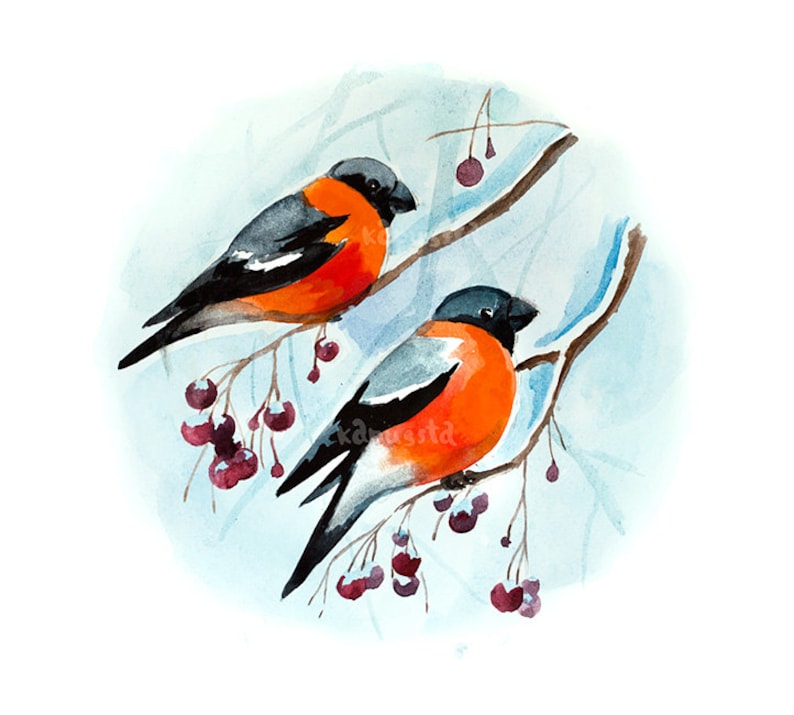 Bullfinches Birds on Branch Digital Download Art Printable - Etsy