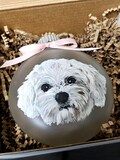 Custom Single Pet Portrait Frosted Glass Ornament, 100% Hand Painted Acrylic Commissioned Portrait