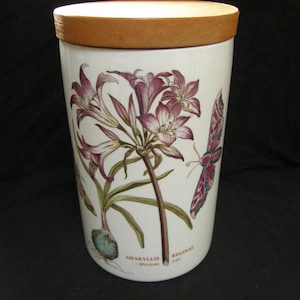 Portmeirion Botanic Garden 8" Vorratsglas von 1973 - Ameryllis - super Zustand