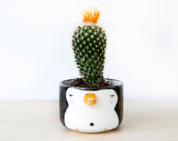 Novelty and gag gifts Etsy