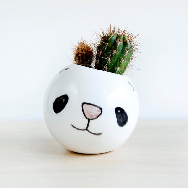 Ceramic panda bear planter for succulent or cactus