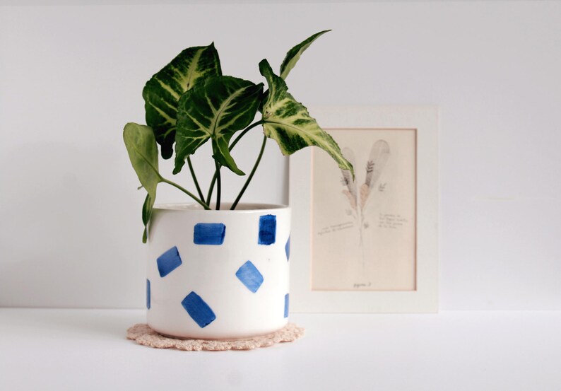May include: A white ceramic planter with blue square brushstrokes, holding a green plant with variegated leaves. The planter sits on a beige crocheted coaster. A framed botanical print is in the background.