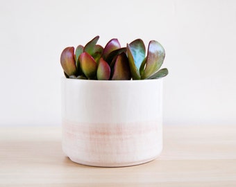 Large Ceramic planter for succulent, Ceramic Plant pot for her, Gift for coworkers