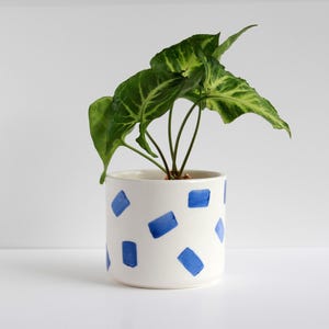 May include: A white ceramic plant pot with a blue square pattern, holding a green plant with large, patterned leaves. The pot is cylindrical and sits on a white surface.